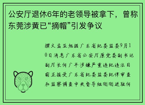 公安厅退休6年的老领导被拿下，曾称东莞涉黄已“摘帽”引发争议